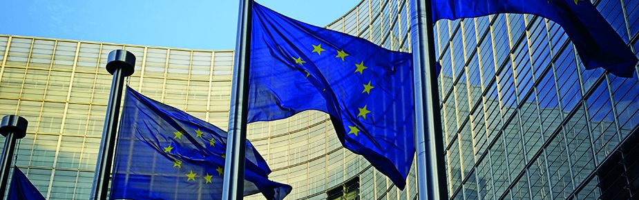 EU flags