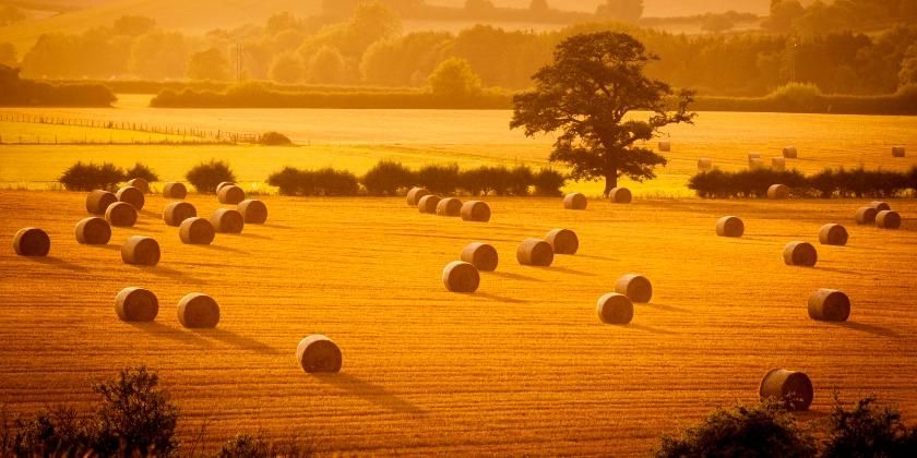 Golden hour hay bales